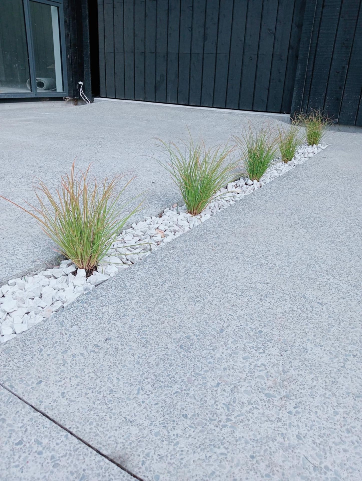 native lanting for landscape
