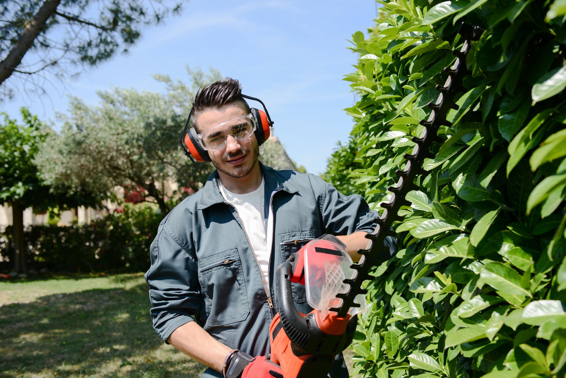 handsome young man gardener trimming hedgerow in a park outdoor