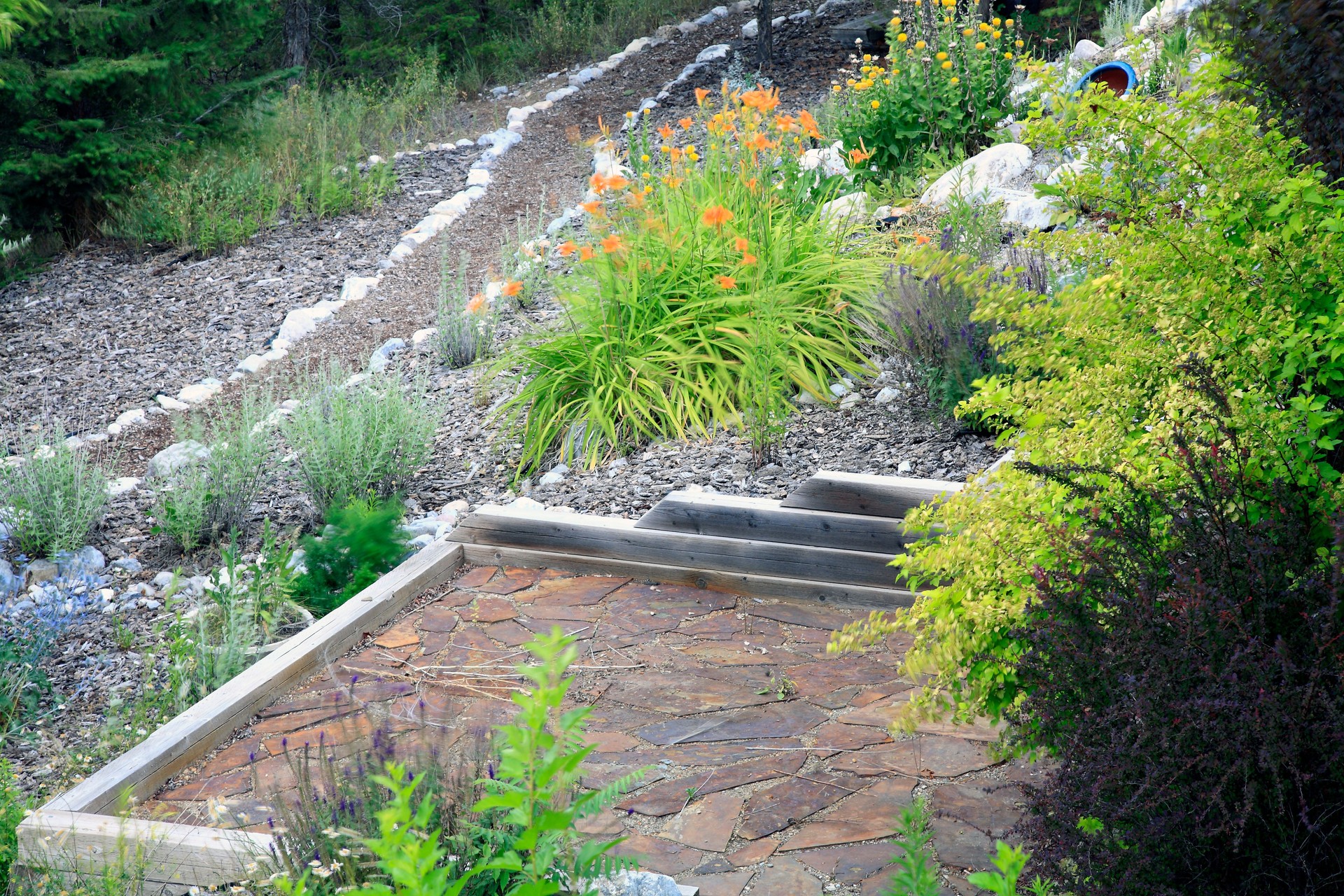 Xeriscaped Gardening Ideas At Their Best