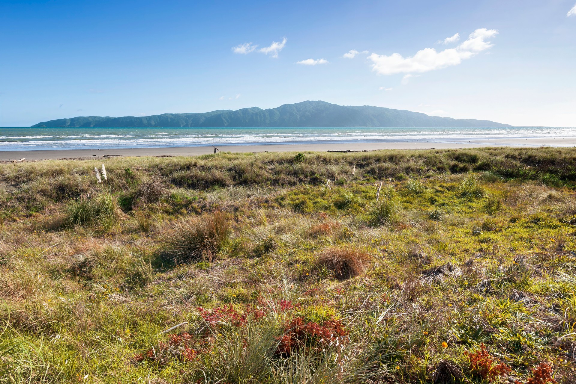 Grassy beach and mountains at Kapiti Coast.