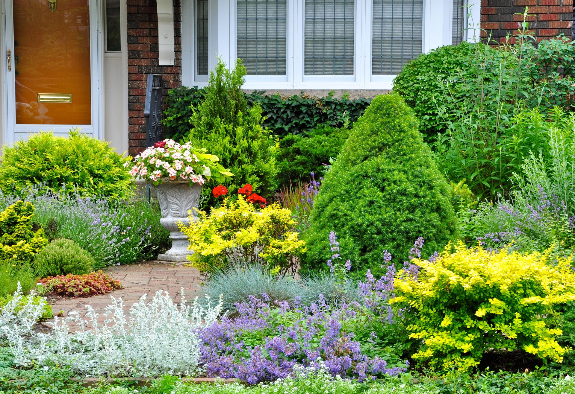 Beautiful front yard garden with no grass